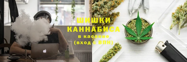 2c-b Медвежьегорск