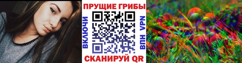 omg ONION  Мураши  Псилоцибиновые грибы Psilocybe 