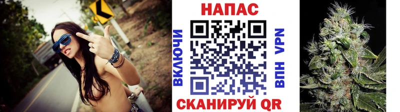 Конопля MAZAR Мураши